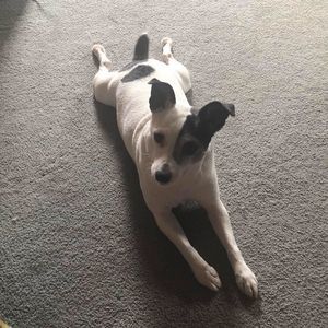 Meet your Posher, Mandy